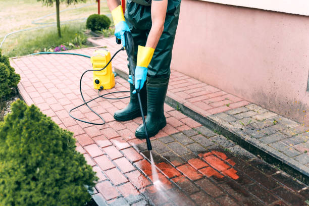 Best Roof Power Washing Services  in Goose Creek, SC